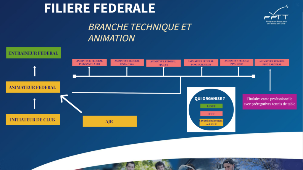 Entraîneur Fédéral  Ligue d'Ile de France de tennis de table